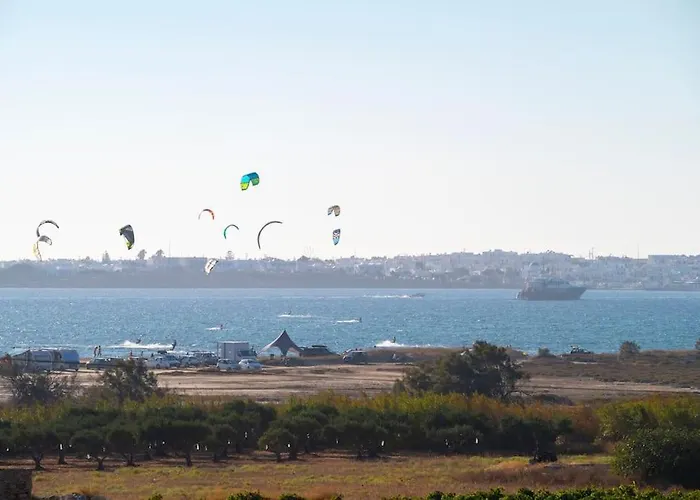 Zoe & Zen Collection