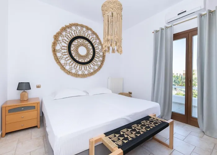 Zoe & Zen Collection *